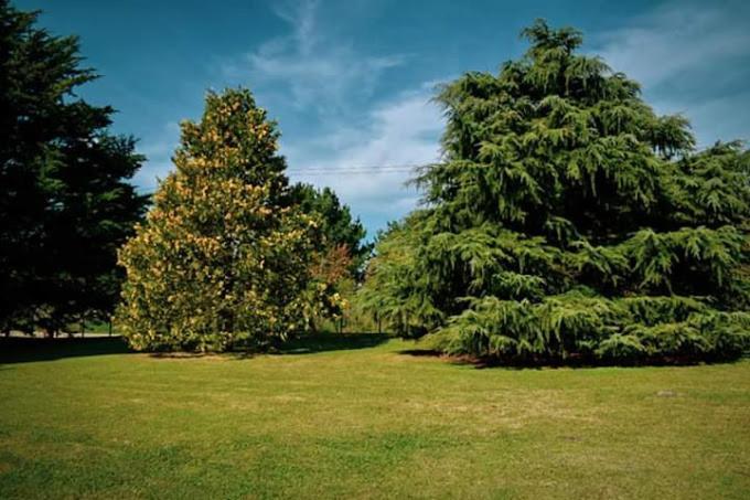 טנדיל Village Park מראה חיצוני תמונה