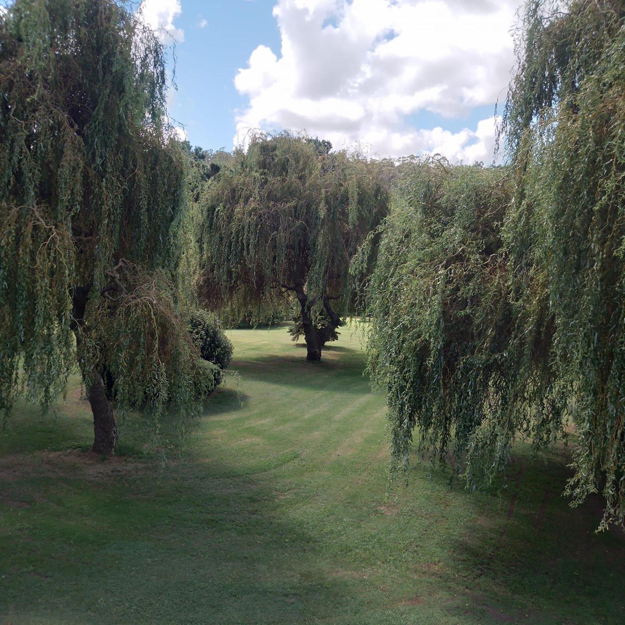 טנדיל Village Park מראה חיצוני תמונה